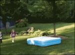 Dog-runs-away-under-inflatable-pool