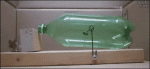 Humane-mouse-trap-bottle