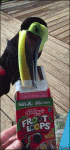 Froot-loops-toucan-sam-IRL